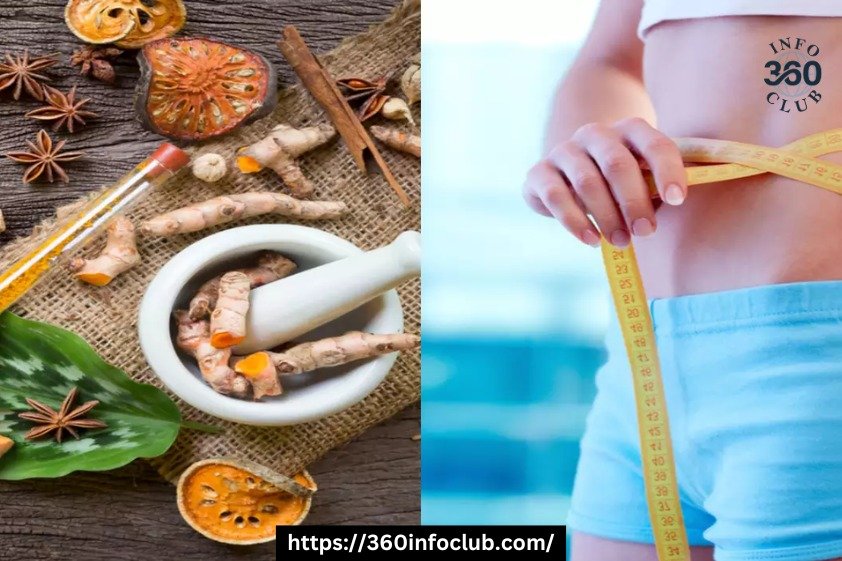 Ayurveda For Weight Loss-360infoclub